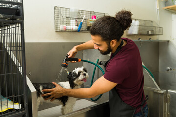 Shih tzu getting a bath from a pet groomer