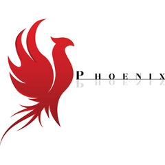 Fototapeta premium Phoenix Logo for big and small companies which are minimalist and elegant