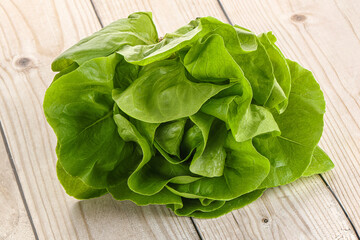 Salad leaves heap for snack
