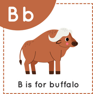 Learning English alphabet for kids. Letter B. Cute cartoon buffalo.