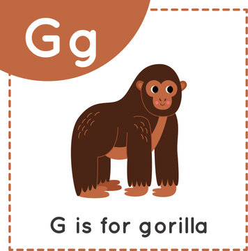 Learning English alphabet for kids. Letter G. Cute cartoon gorilla.