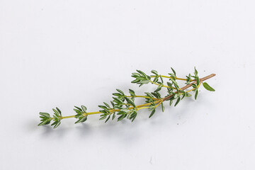 Aroma seasoning thyme stem with leaves