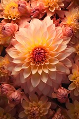Close up white orange flower of Chrysanten with selective focus. Generative AI