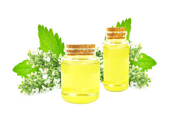 catnip essential oil in a bottle isolated on a white background