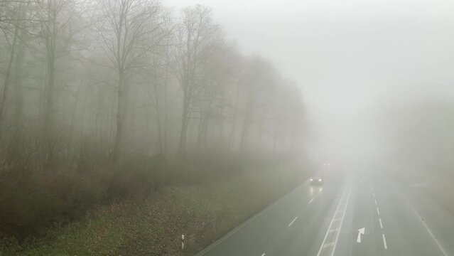 mysterious foggy landscape with trees in forest, cars drive on road, blurred background, mysterious place, mystical concept, getting lost in poor visibility, natural phenomenon, video for horror movie