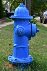 Fototapeta na wymiar Blue Fire Hydrant in Grass in Burlington, Wisconsin