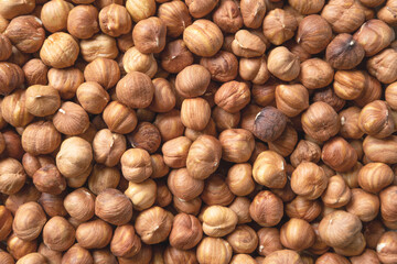 Hazelnuts harvest. Filbert photo wallpaper. Full frame of hazel. Cobnut background. Peeled brown...