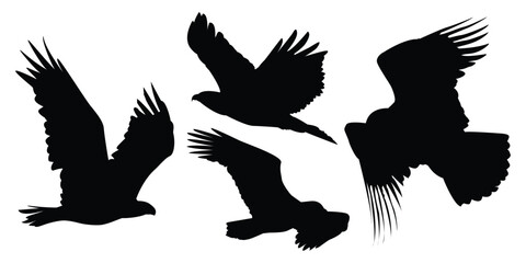 Obraz premium Animals Eagle Silhouettes Vector Illustration