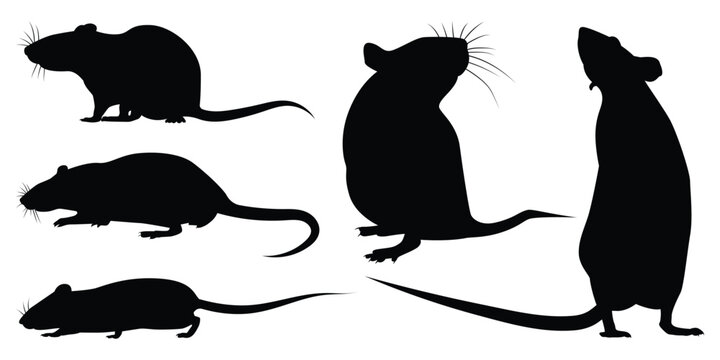 Farm Animal Rat Silhouette Vector Illustration