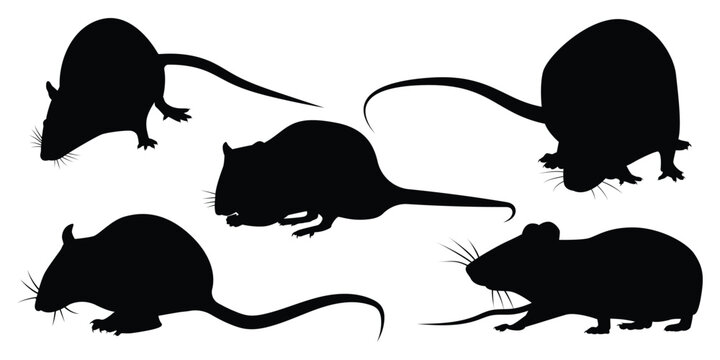 Farm Animal Rat Silhouette Vector Illustration