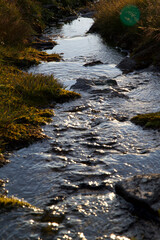 petit ruisseau de montagne 