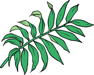 Branch of palm leaf