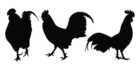 Farm Animal Rooster Silhouette Vector Illustration
