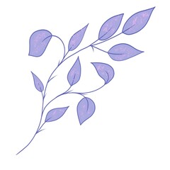 Digital floral illustration. Colorful floral collection with leaves, drawing watercolor brushes in procreate.