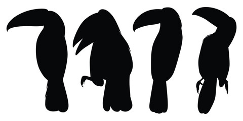 Animal Bird Toucan Silhouettes vector illustration