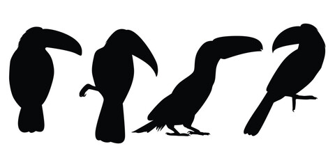 Animal Bird Toucan Silhouettes vector illustration