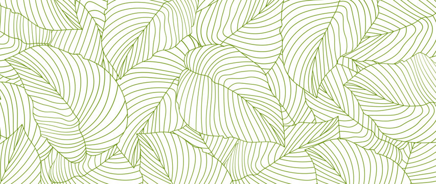 Botanical leaf wallpaper vector. Natural hand drawn foliage pattern in minimalist linear outline style. Design for fabric, print, cover, banner, invitation.