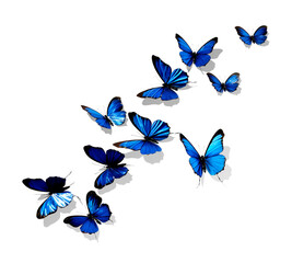 Obraz na płótnie Canvas Blue Butterflies close-up on white background, realistic illustration, generative ai