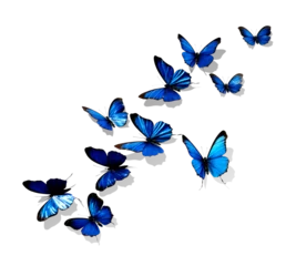 Zelfklevend Fotobehang Vlinders Blue Butterflies close-up on white background, realistic illustration, generative ai
