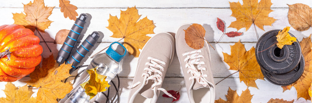 Autumn sport fitness background. Outdoors fall workouts concept. Running sneakers, dumbbell barbell discs, jump rope, water bottle, wooden background, with autumn leaves, pumpkins top view copy space