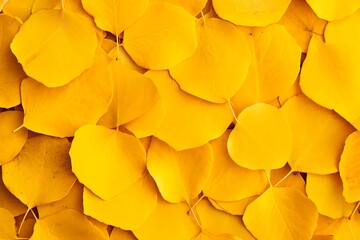 Natural Autumn Background with Solid Cover of Fallen Yellow Aspen Leaves - Dry and Continuous Surface. Generative AI - obrazy, fototapety, plakaty