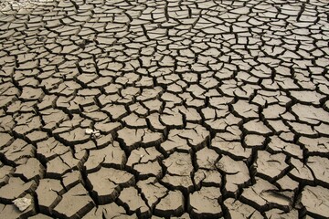 Dry, cracked landscape with patches of dirt scattered across its surface