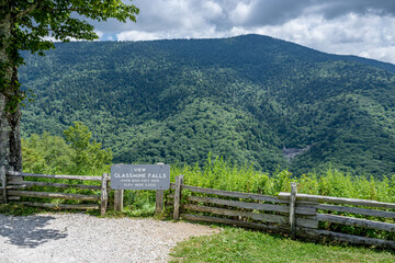 Fototapeta premium blue ridge parkway flowers