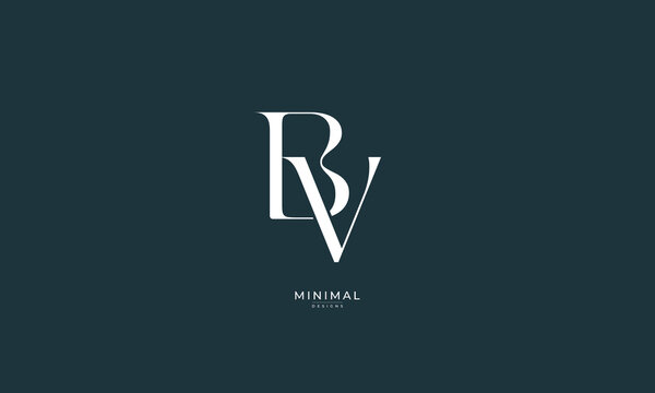 Alphabet letter icon monogram logo BV