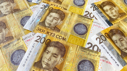 Kyrgyz banknotes in 200 SOM. Yellow background of money. Cash banknotes of Kyrgyzstan. Kyrgyz...