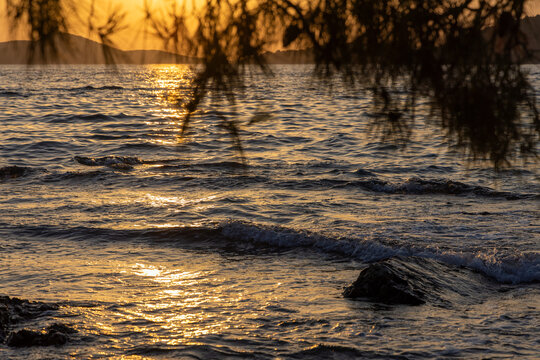 The sunset on the Adriatic Sea is seen through the pine branches