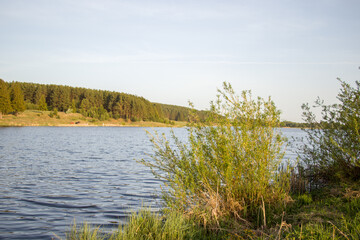 Beautiful calm evening near the village pond