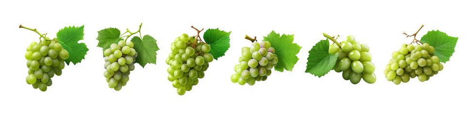 Set of Fresh Green Grapes Cluster: Nature's Bounty Displayed in Realistic Detail ,grape illustration transparent background, PNG	 - obrazy, fototapety, plakaty