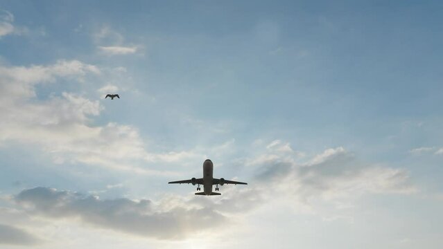 3840x2160 ULTRA HD. Airplane flies in sky at sunset day. Travel. Airplane takes off against the background of sunset. 