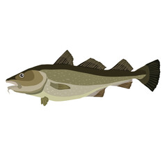 cod fish in green color, cartoon illustration, isolated object on white background, vector,