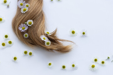 Naklejka premium Medicinal flowers with smooth hair on a white background. Summer flowers in hair.