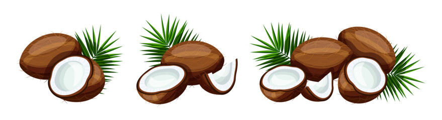 Set of delicious coconuts with green leaves isolated on white background. Vector illustration of fresh whole, half, pieces of coconuts with green leaves in cartoon style.
