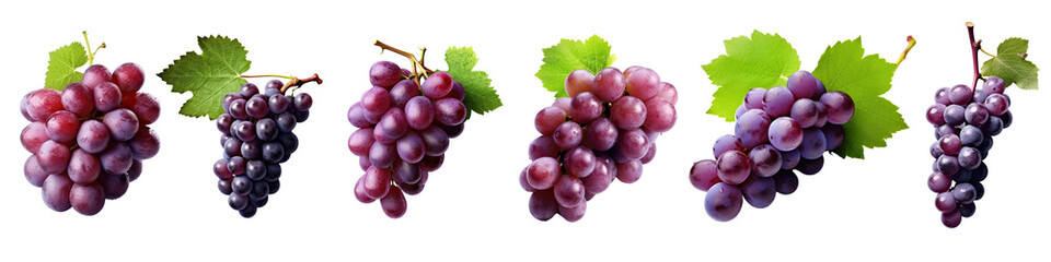 Fototapeta premium Set of Fresh purple grapes in Realistic Detail ,grape illustration transparent background, PNG
