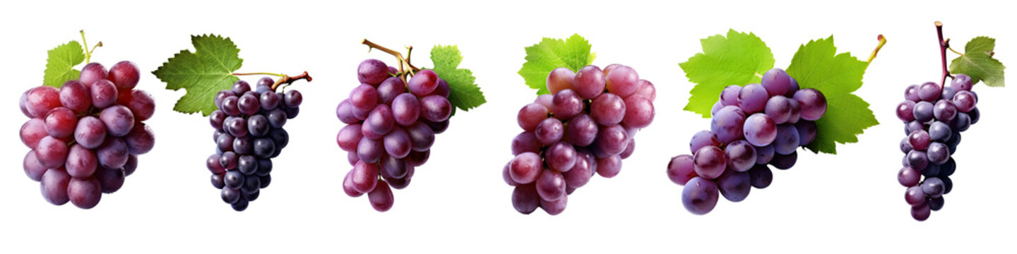 Set of Fresh purple grapes in Realistic Detail ,grape illustration transparent background, PNG