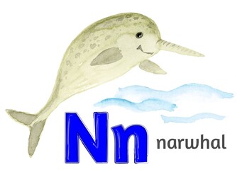 Letter N of the English alphabet with the image of a narwhal in watercolor on a white background. © Elena