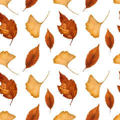 Autumn leaves seamless pattern.Perfect for wallpapers,invitation,gift paper,web page background,autumn greeting cards.Hand drawn illustration.