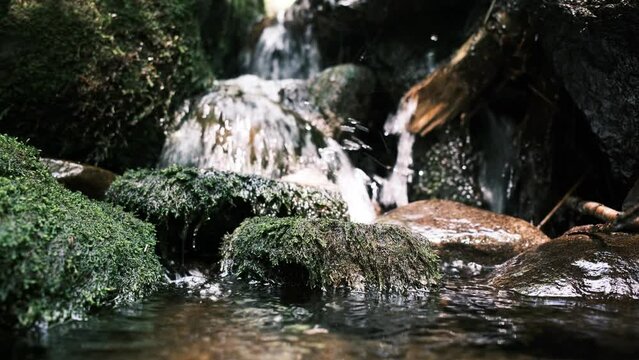une rivi&egrave;re dans la for&ecirc;t