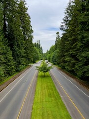 East Bay Drive located in Priest Point Park, featuring a two-lane road lined with lush green trees