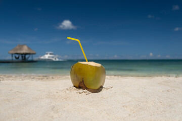 Fresh yellow ripe coconut with a straw on a white sand beach with blue sky and ocean water in the background. Selective focus, space for copy. Beach vacation, travel and south destination concept.