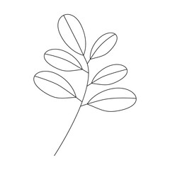 Vector line icon. Hand drawn leaves branch contour silhouette isolated. Floral drawing, graphic design, print, branding, card, poster, logo, sign, symbol. Minimal botanical illustration.