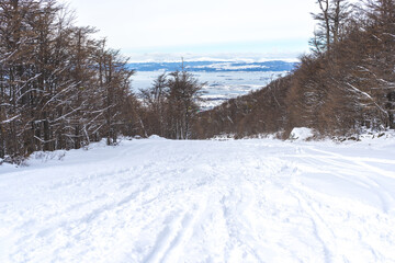 VIEW OF THE EL BEAGLE CHANNEL FROM A SNOW-COVERED MOUNTAIN. SNOWY MOUNTAIN IN USHUAIA. ARGENTINE PATAGONIA.