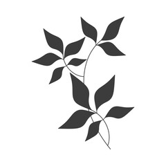 Flat branch icon vector. Hand drawn black leaves silhouette isolated. Floral drawing, graphic design, print, branding, card, poster, logo, sign, symbol. Minimal botanical illustration.