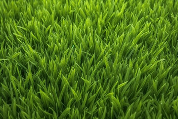 Obraz premium Long Fresh Green Grass Texture Background - Created with Generative AI Tools