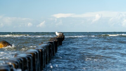 Closeup shot of wooden piers standing in a body of water illuminated by the sun's rays