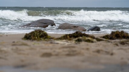 Stunning, tranquil beach in Kuehlungsborn, Mecklenburg-Vorpommern, Germany