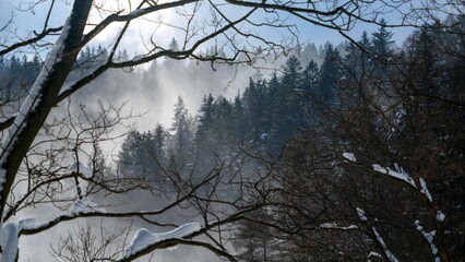 Landscape of snow falling on forest at mountains. Winter landscape, cold weather, blizzard and storm.
